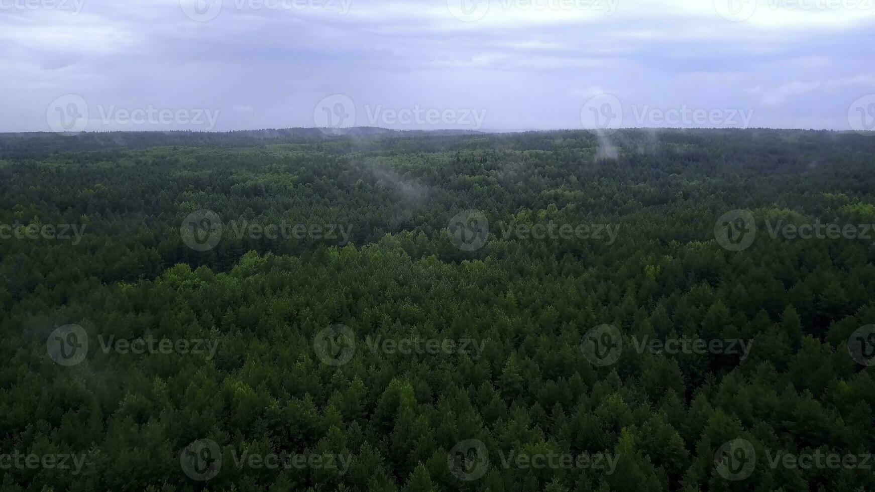 Interesting view from the drone. Beautiful green forest with tall trees on a green hill. photo