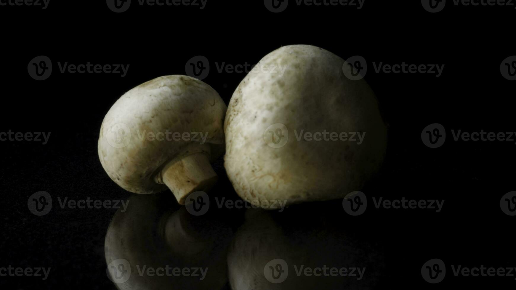 Champignons on a black background. Frame. Two mushrooms isolated on black reflective background. photo