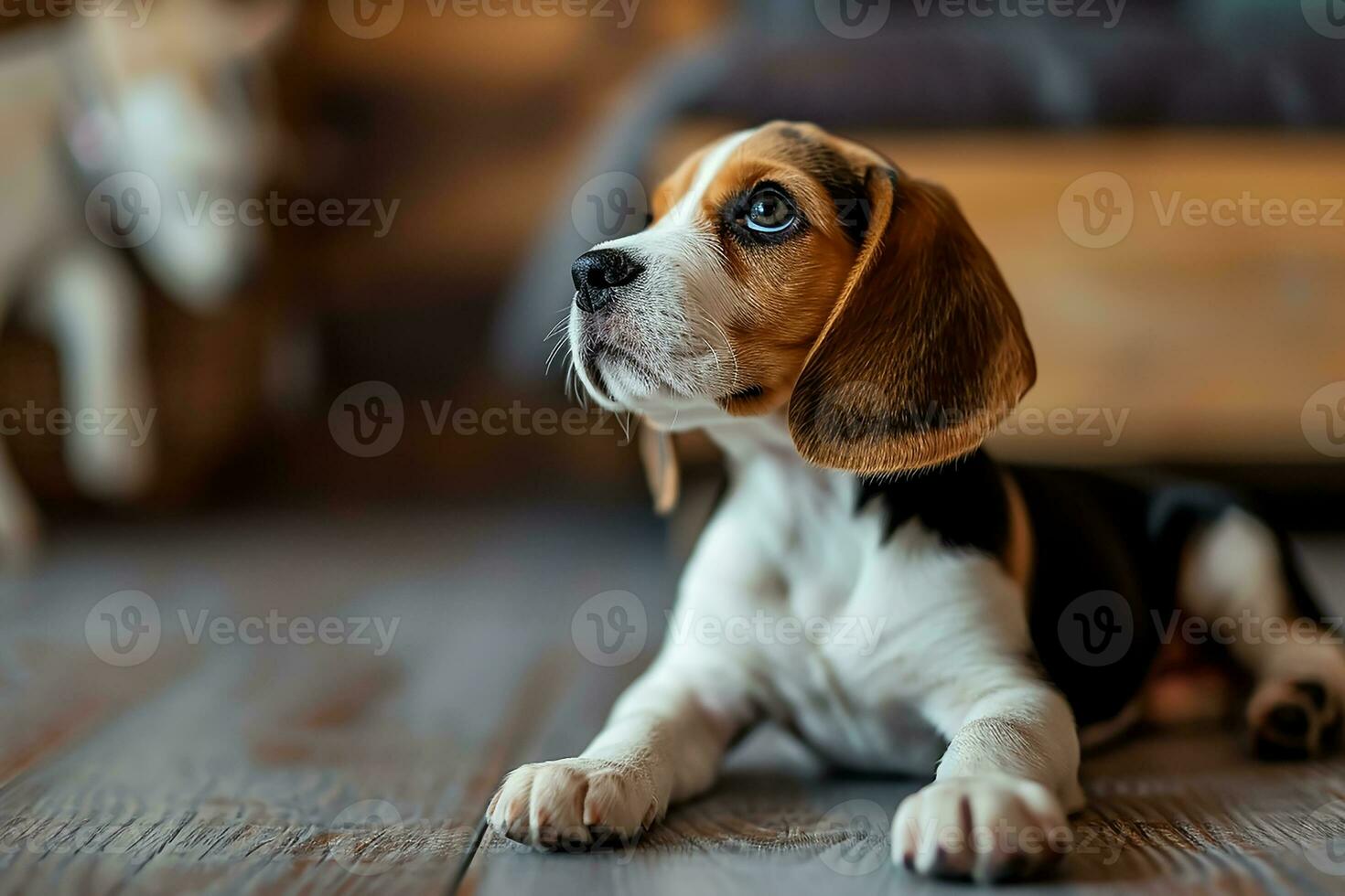 AI generated Photography of a cute dog, National puppy day concept photo