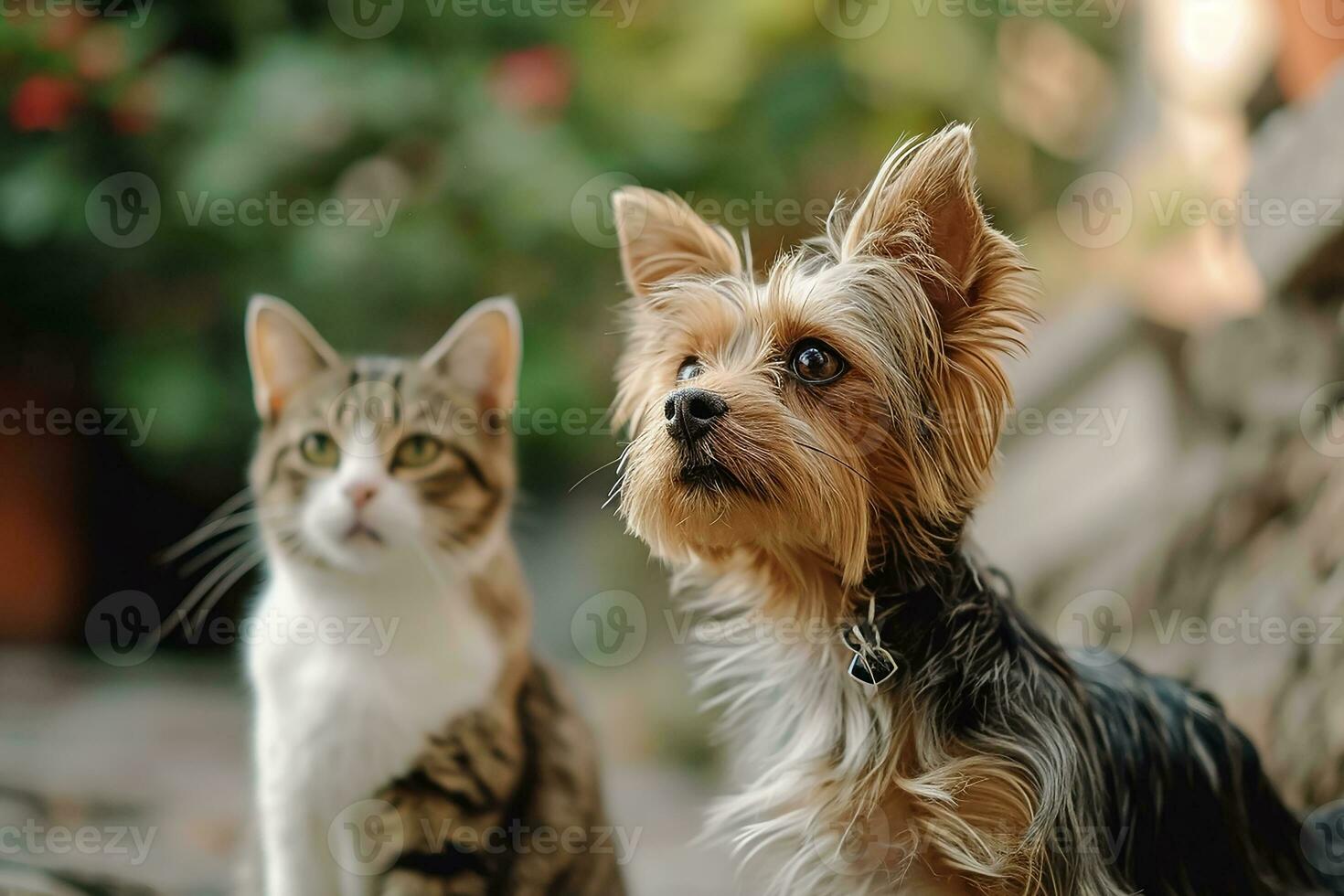 ai generado retrato de linda pequeño perro y gato foto