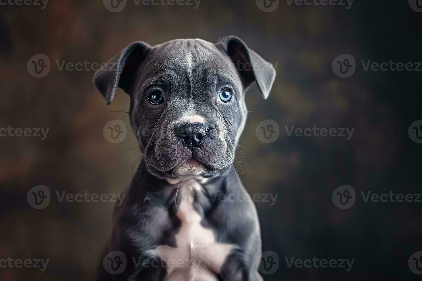 AI generated National Puppy Day with cute purebred blue nose American Bully puppy photo