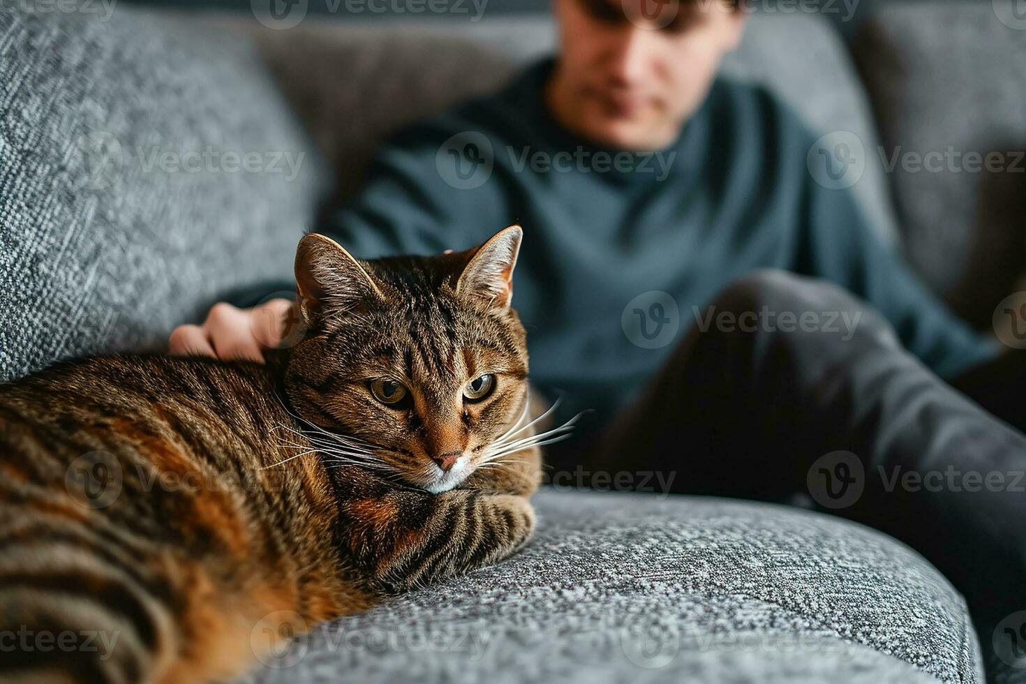 AI generated Young man sitting on a gray sofa caresses the head of a brown tabby cat photo