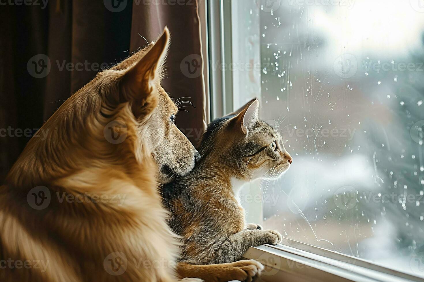 ai generado perro y gato como mejor amigos, mirando fuera el ventana juntos foto