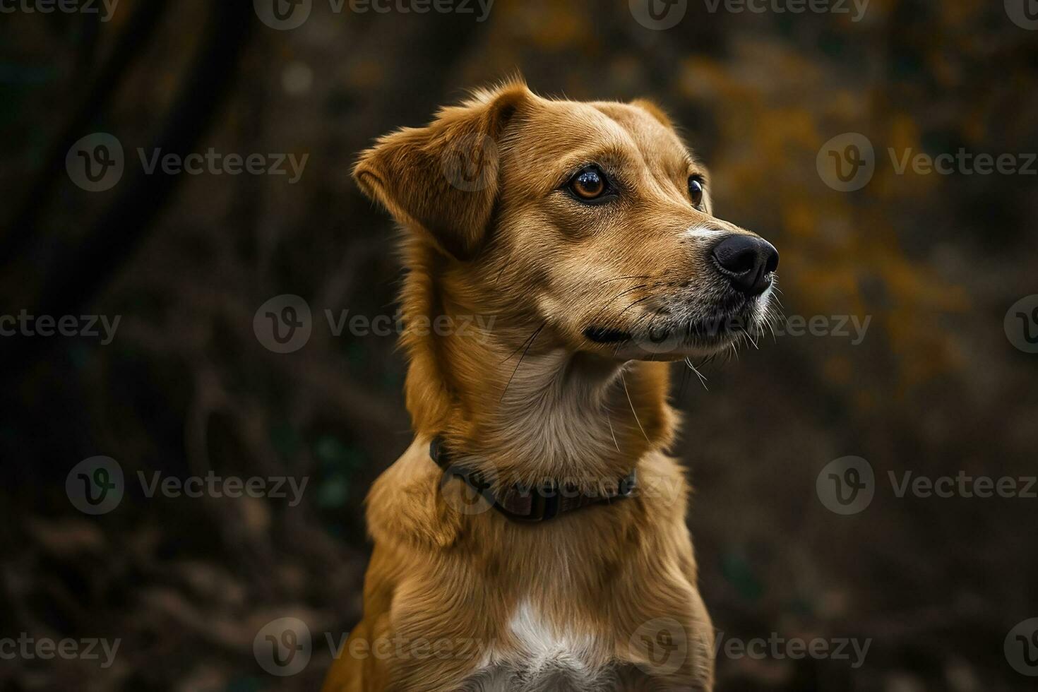 ai generado fotografía de un linda perro, nacional perrito día concepto foto