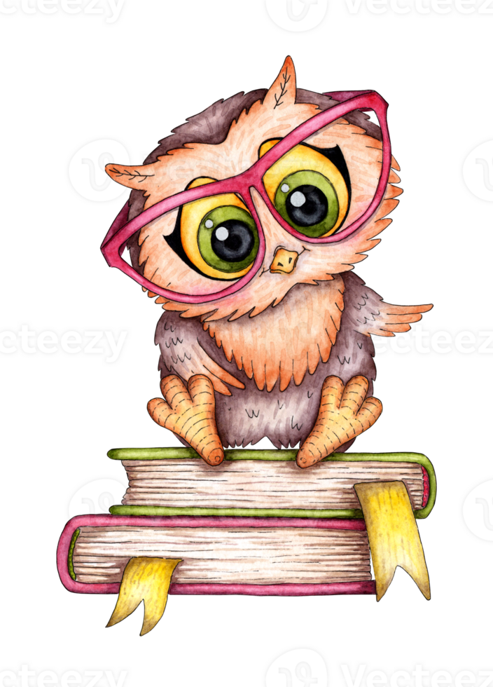 Watercolor illustration  owl sitting on books. owl with glasses, back to school. Ideal for shirts, cards, prints. Isolated. Drawn by hand. png