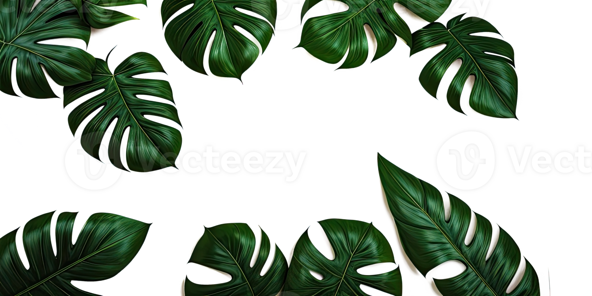 AI generated Template design tropical green leaves on transparent background. Generative AI. png