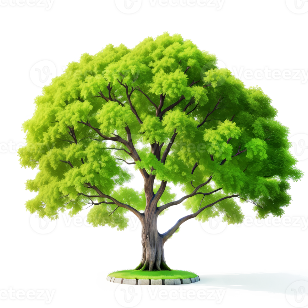 AI generated Green tree isolate on transparent background.Generative AI. png