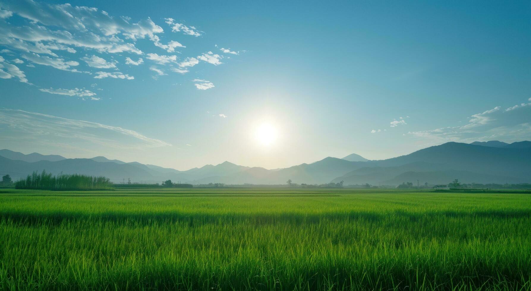 AI generated the sun is shining on a green field photo