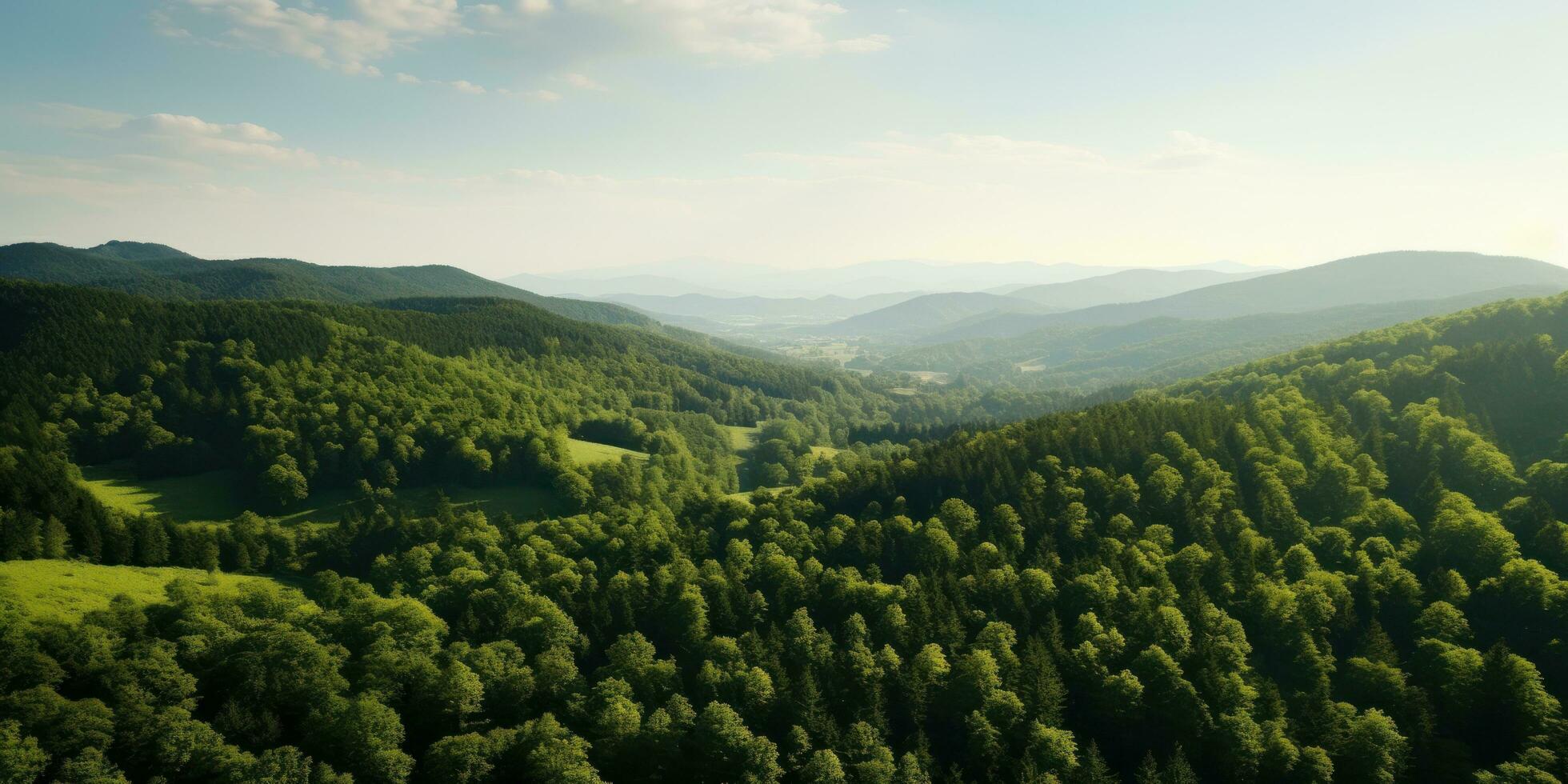 AI generated aerial shot of the forest with hills photo