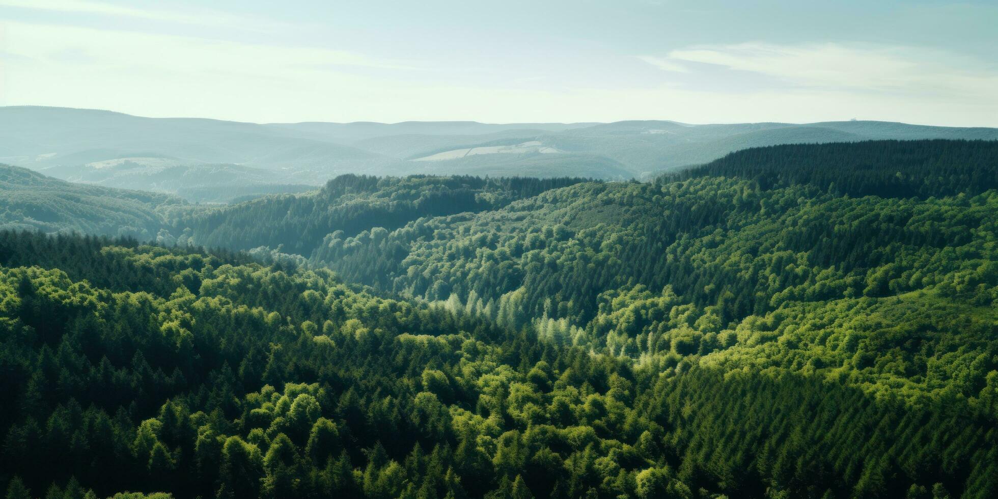 AI generated aerial shot of the forest with hills photo