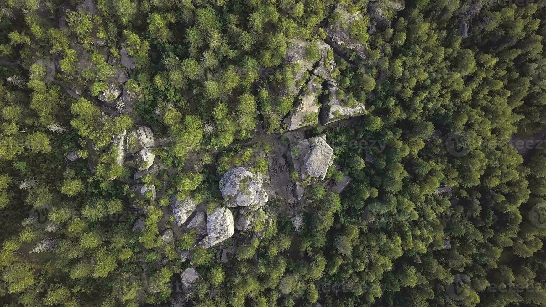 Standing stones and beautiful view in forest, top view. Clip. Rock among tall pine trees against the backdrop of view of a densely overgrown spruce forest photo
