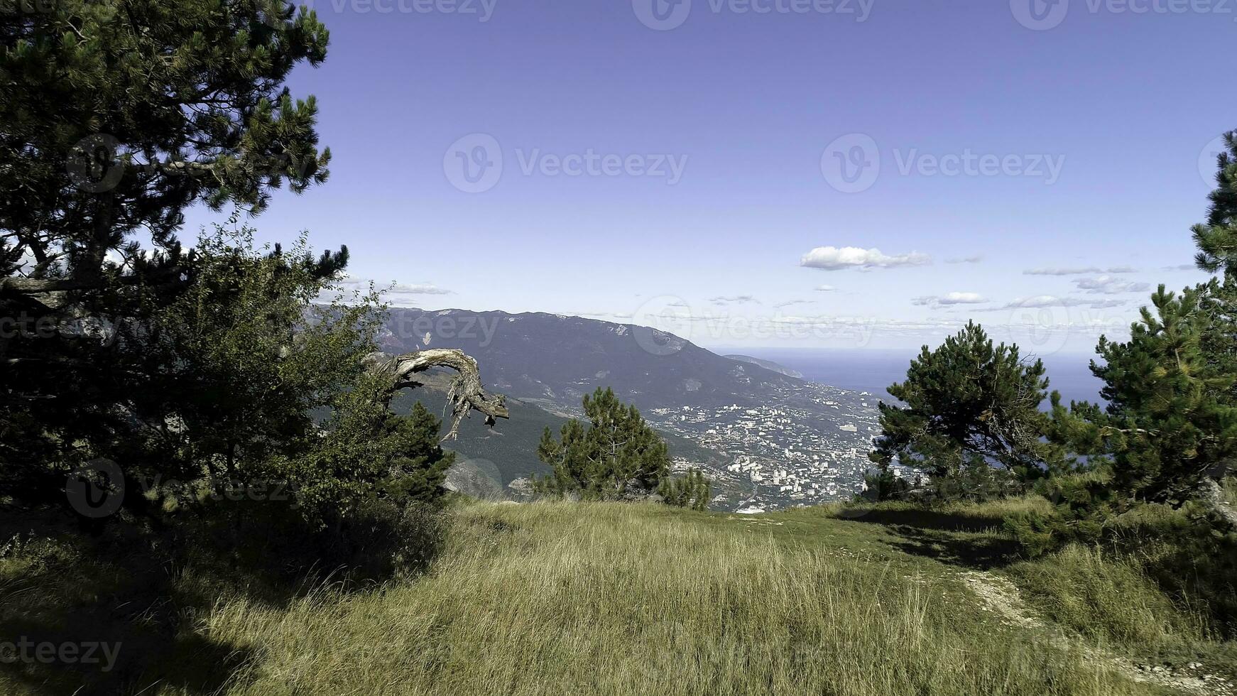 Aerial view of a city near the beach, mountains, and green meadow, paradise seascape. Shot. The sea and the horizon from a high mountain with a green grass and pine trees growing on its top. photo