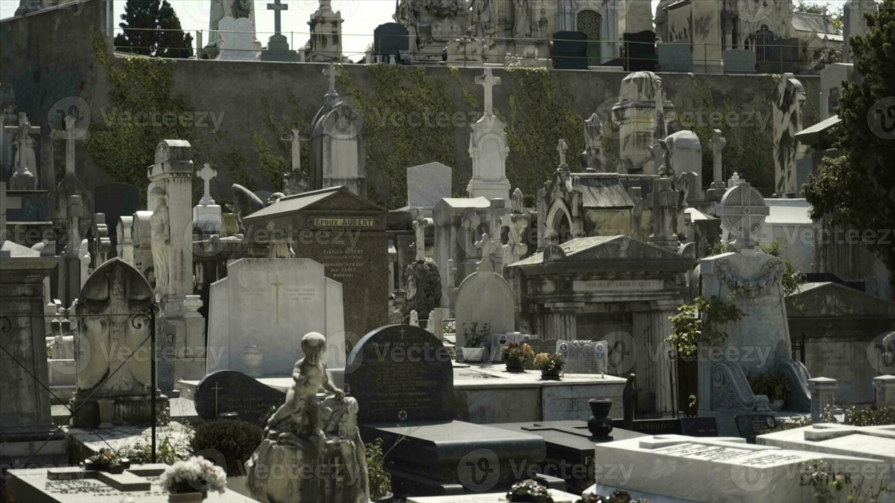 Tranquil cemetery in Europe, concept of death and architecture. Action. Many graves and memorials at the european graveyard on a summer sunny day. photo