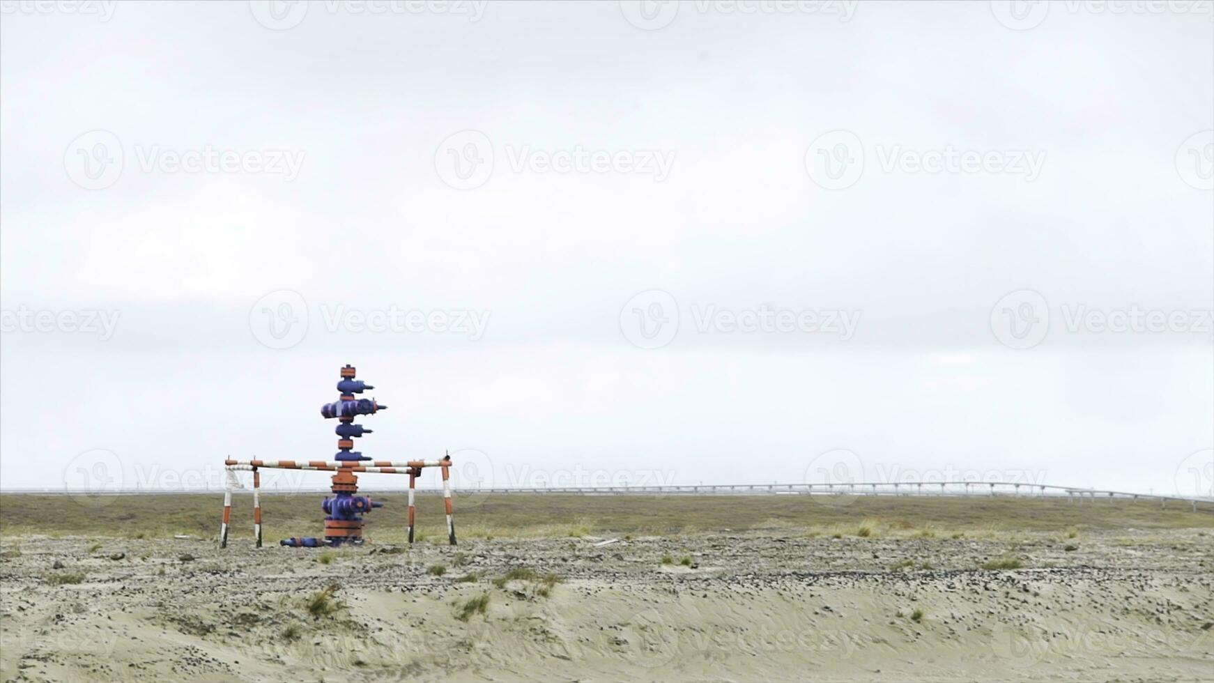 agua boca de aguas en el desierto. fuego boca de aguas en un Desierto paisaje ambiente. foto