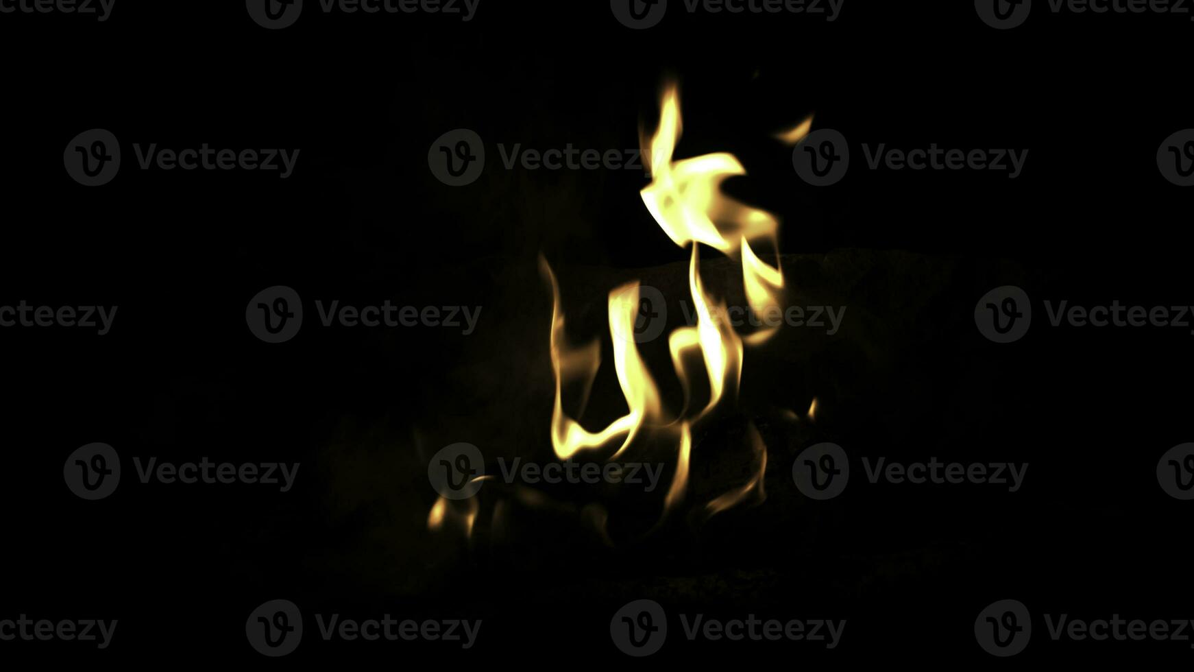 Burning wood in the fire. Camp fire in the night. Fire flames. Forest fire close up photo