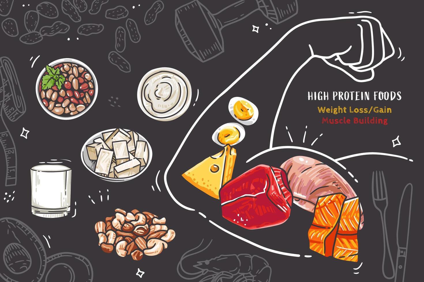 A hand-drawn vector illustration showcasing a variety of high-protein foods.