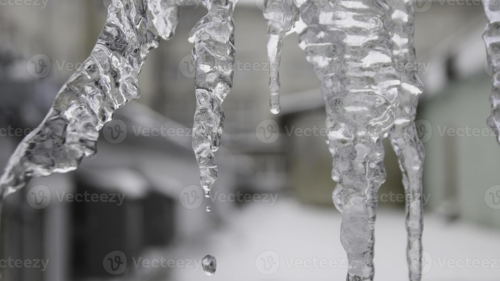 Close up for icicles with crystal texture on winter background. Stock footage. Water drops falling from clear stalactites while melting process. photo