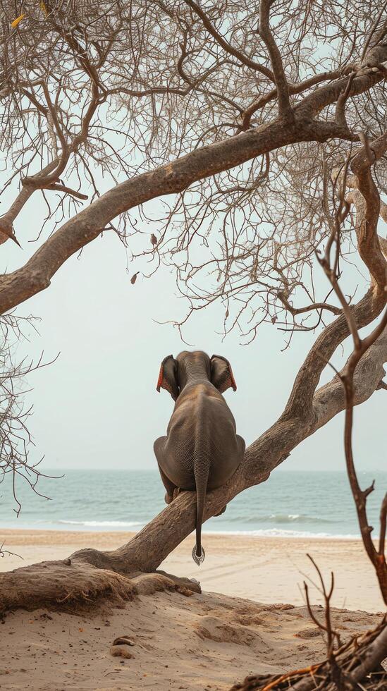 AI generated An elephant sitting on a leafless branch photo