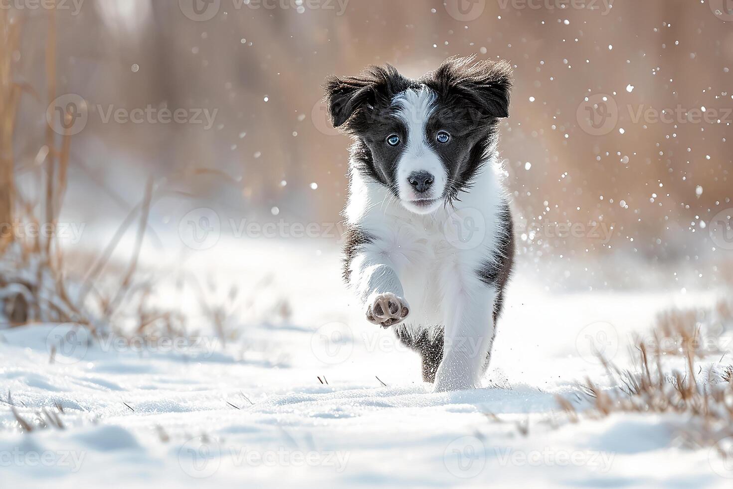 AI generated Happy running dog on winter snow forest photo