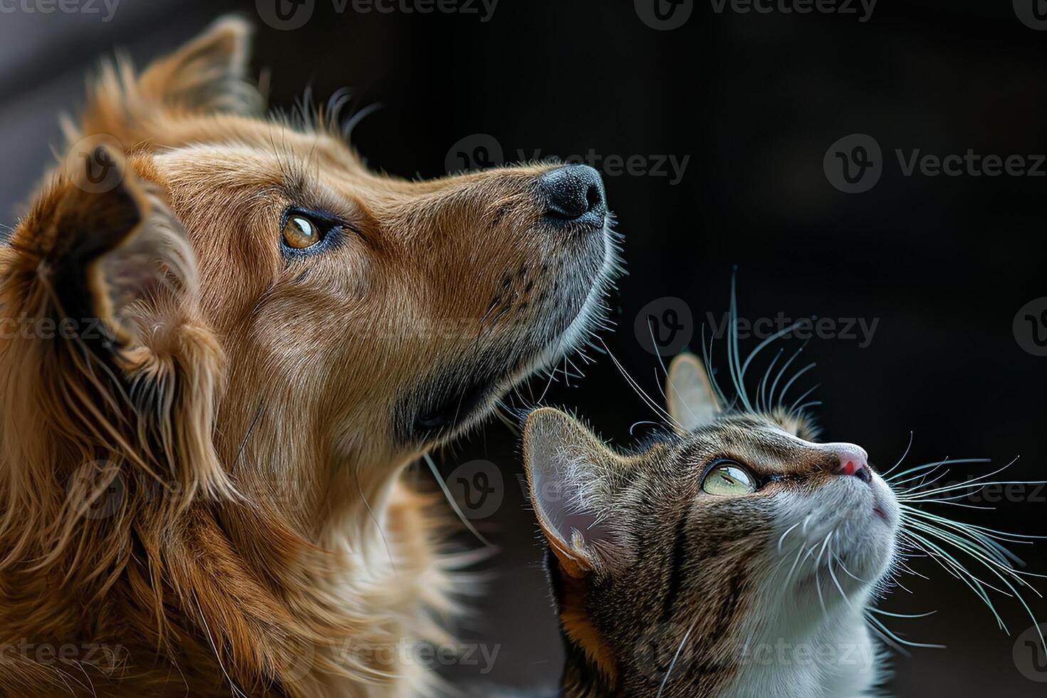 ai generado atento perro y gato mirando arriba en mismo dirección foto