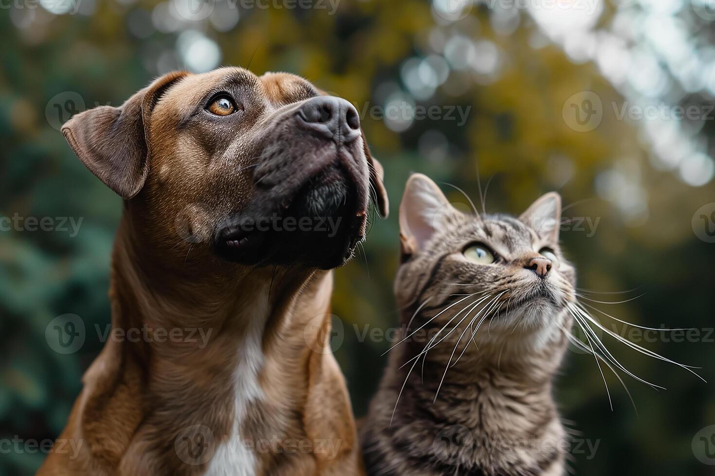 ai generado atento perro y gato mirando arriba en mismo dirección foto