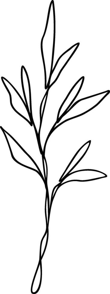 Leaf Single Line Art vector