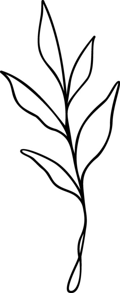 Leaf Line Art vector