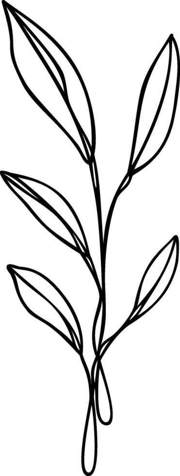 Leaf Line Art vector