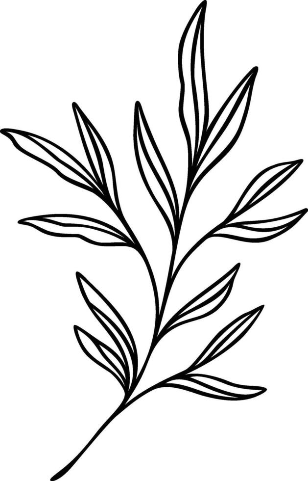 Leaf Line Art Branch vector