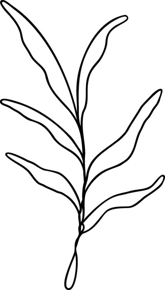 Leaf Line Art vector