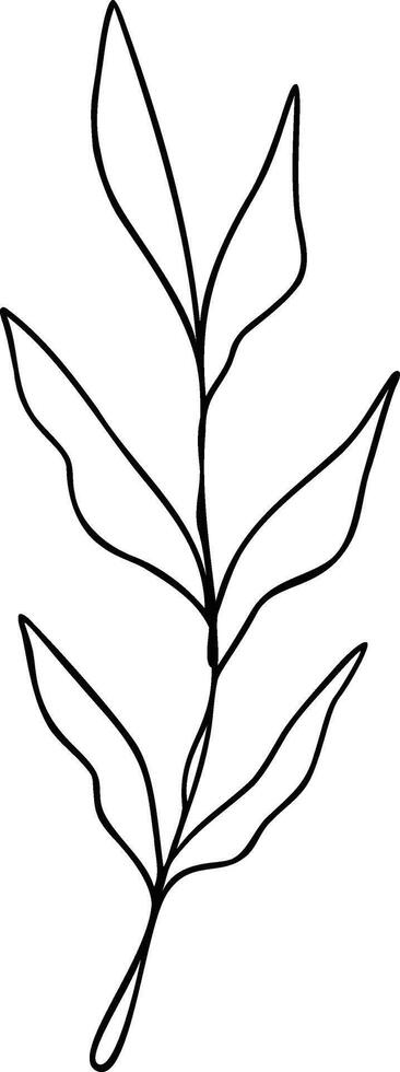 Leaf Line Art vector