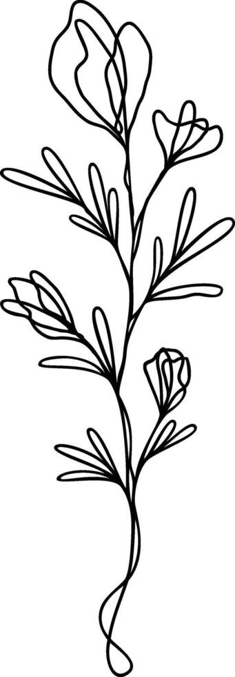 Flower Continuous Line Art vector