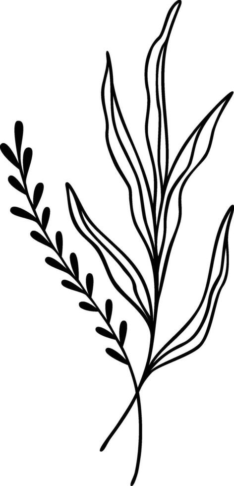 Leaf Line Art Bouquet vector