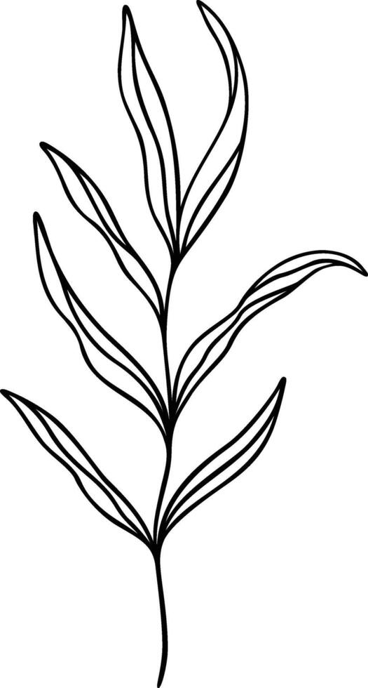 Leaf Line Art vector