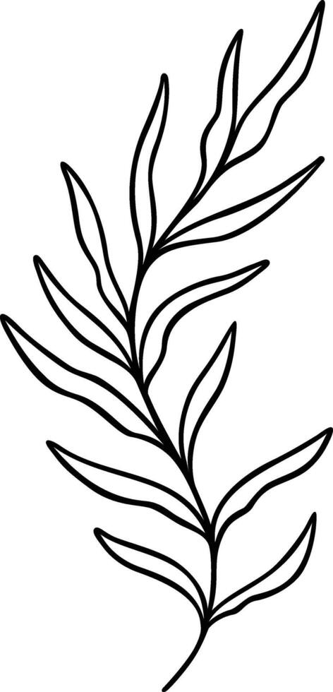 Leaf Line Art vector