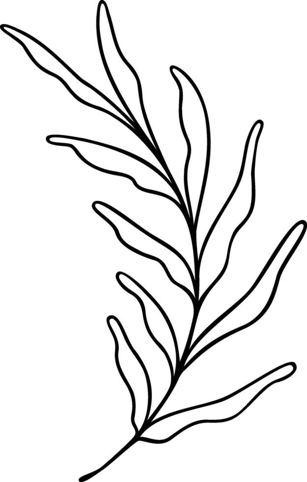 Leaf Line Art vector