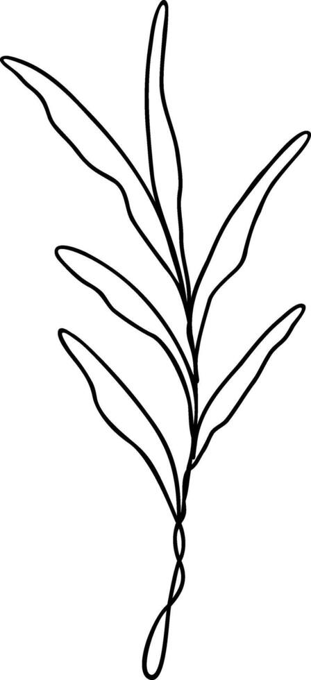 Leaf Line Art vector