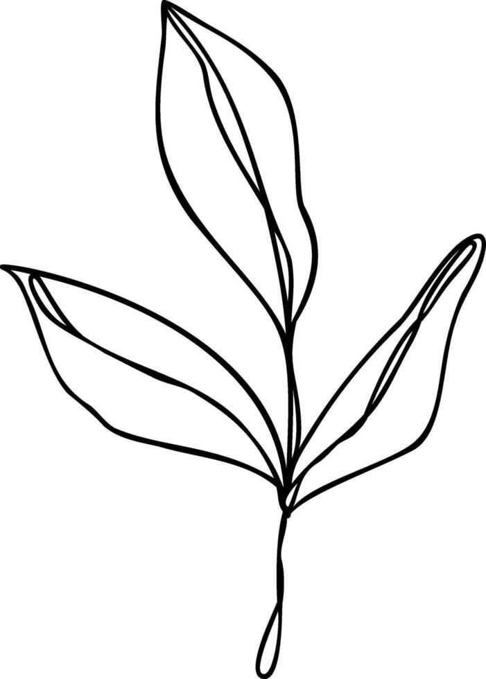 Leaf Line Art vector