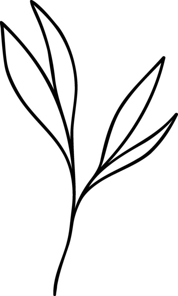Leaf Line Art vector
