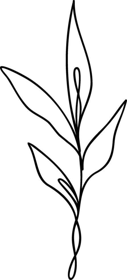 Leaf Line Art vector
