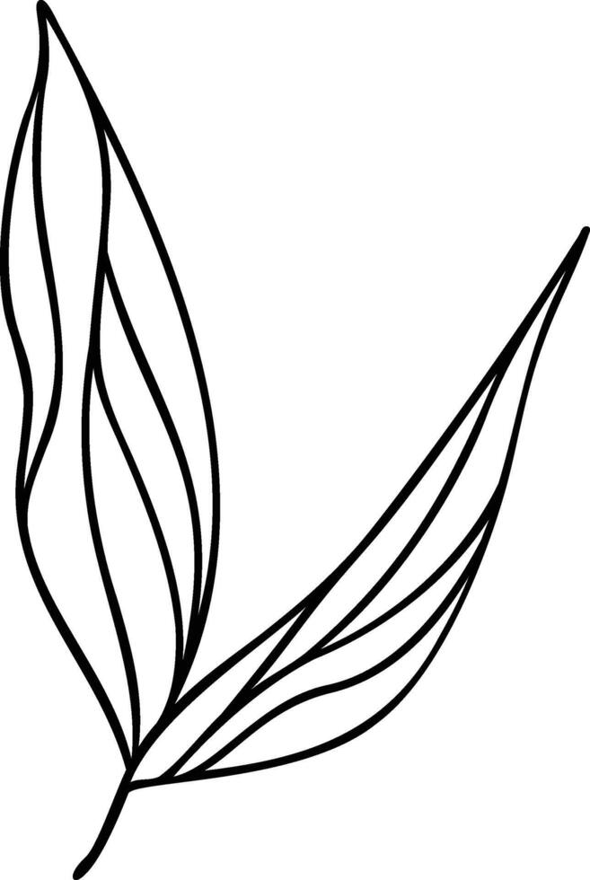 Leaf Line Art vector