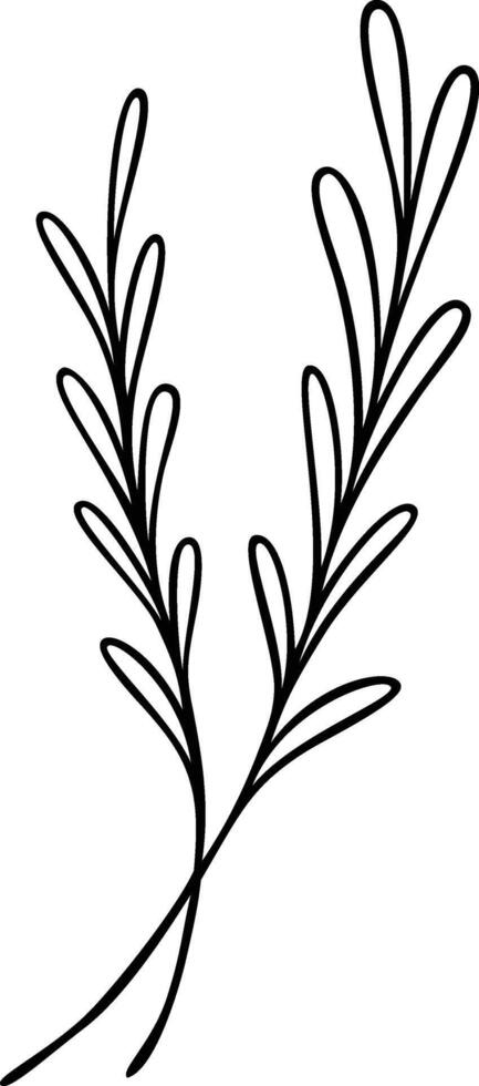 Laurel Leaf Line Art vector