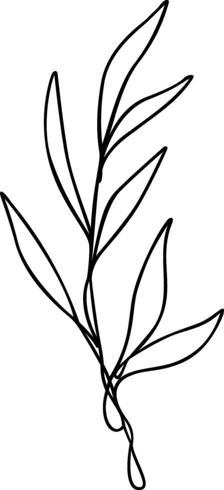 Leaf Line Art vector