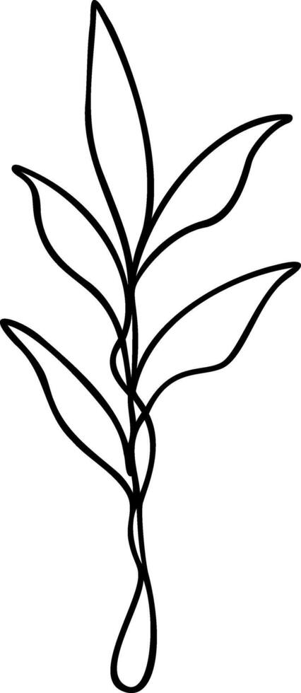 Leaf Single Line Art vector