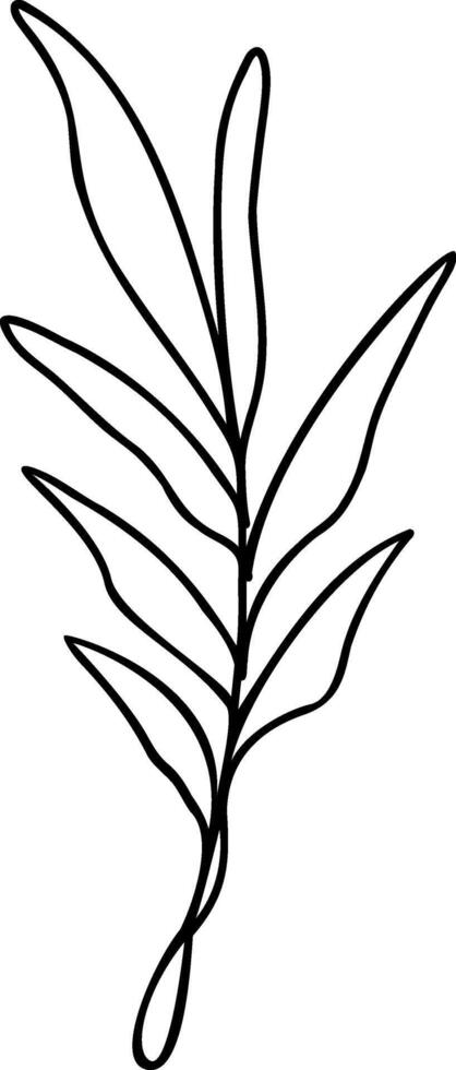 Leaf Line Art vector