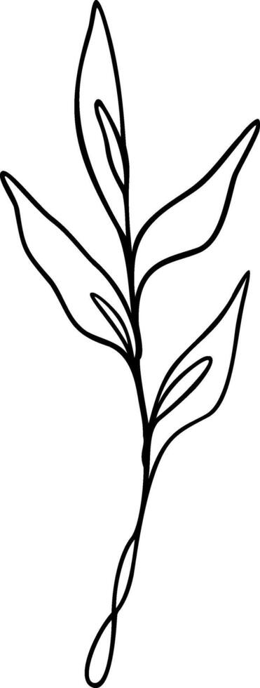 Leaf Line Art vector