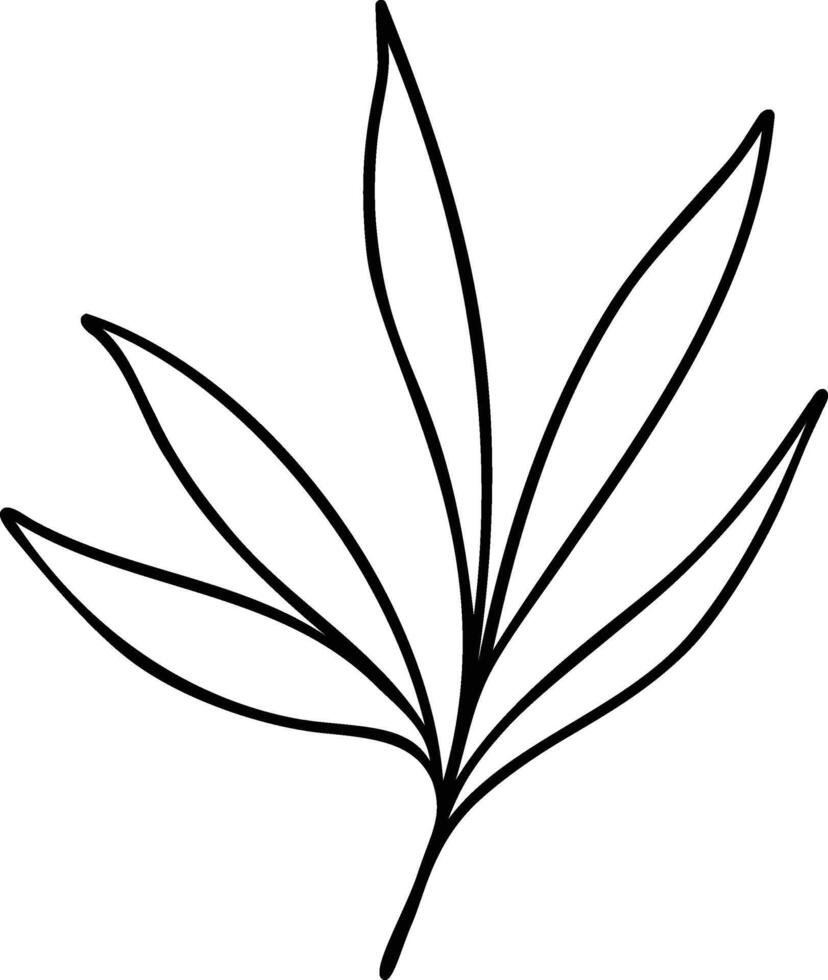 Leaf Line Art vector