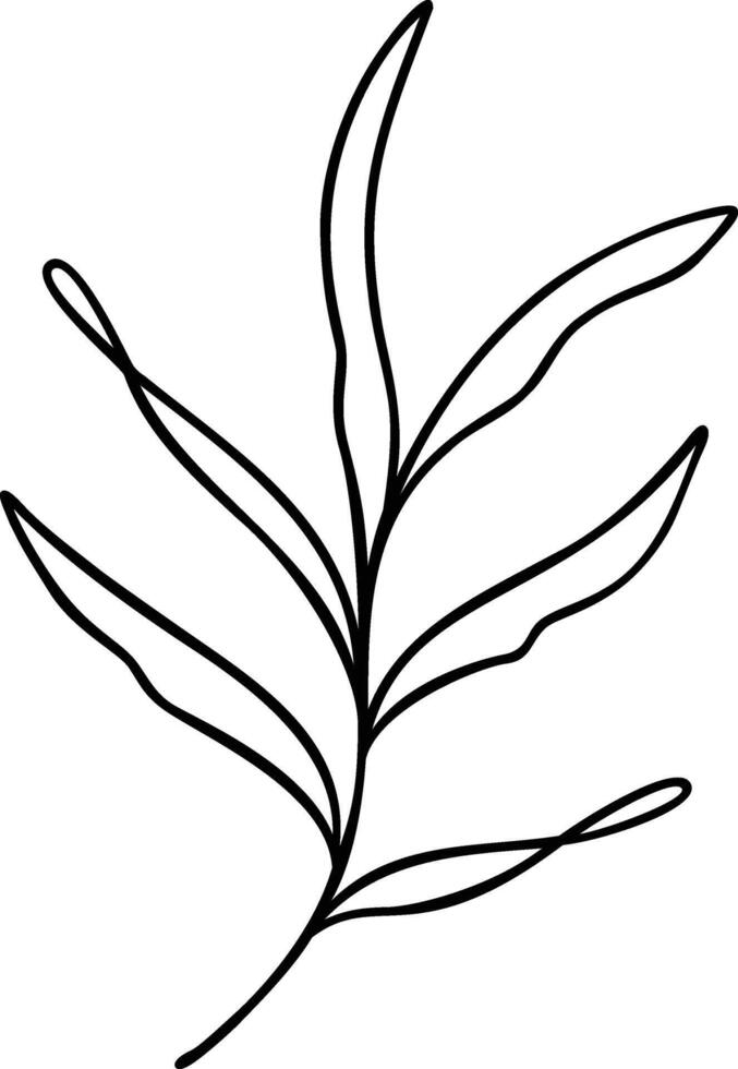 Leaf Line Art vector