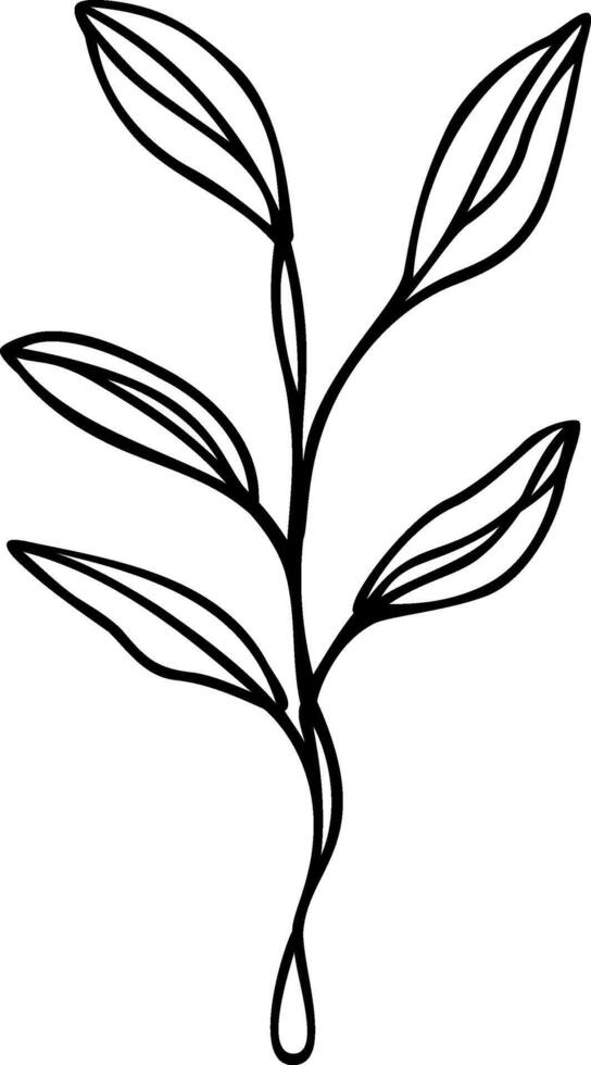 Leaf Line Art vector