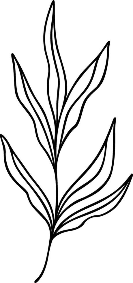 Leaf Line Art vector